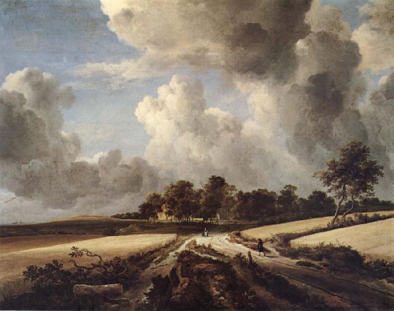RUISDAEL, Jacob Isaackszon van Wheatfields France oil painting art
